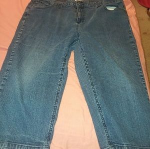 Women st John's Bay  Capri size 22w